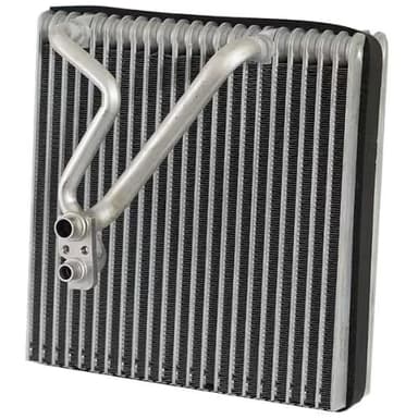 EVAP. VW GOLF 06-14 (Jetta, GTI, A3, Q3, Q8, TT, Eos, Rabbit)