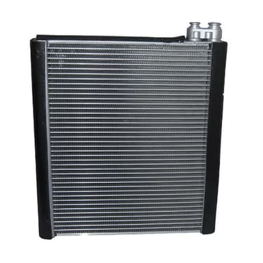 EVAP. TOY. PRADO 03-09 (4Runner 03-07, Fj Cruiser 07-14, Lexus GX470, Tundra)