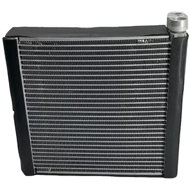 EVAP. NISSAN TIIDA 07-13 (Suzuki SX4 2,0L 07-13)