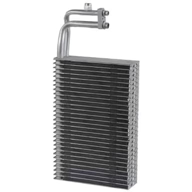 EVAP. INTERNATIONAL PROSTAR 08-12 (WorkStar 09-10, 4400 02-15)