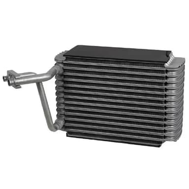 EVAP. FORD EXPEDITION TRASERO 05-16