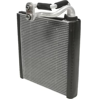 EVAP. FORD BRONCO 1,5/2,0L 21-24
