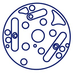 PLATO VALVULA