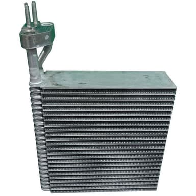 EVAP. CHEVROLET SILVERADO 2500/3500 07-14 (1500 07-13, Cheyenne 13-14)