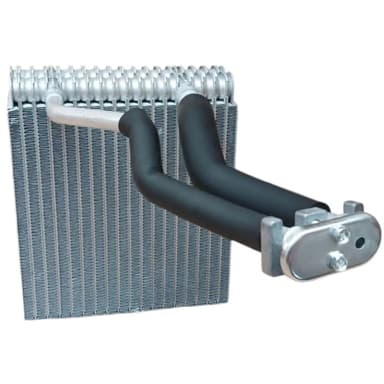 EVAP. NISSAN PATHFINDER TRASERO 05-12 (Armada 05-08) 
