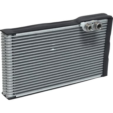 EVAP. TOY. LAND CRUISER TRASERO 08-21 (Prado TX-L, GX460 10-16)