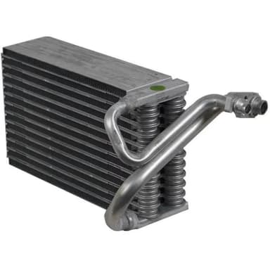 EVAP. DODGE  G. CARAVAN TRASERO 06-07 (Caravan 06-07)