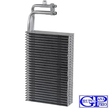 EVAP. INTERNATIONAL PROSTAR 08-12 (WorkStar 09-10, 4400 02-15)